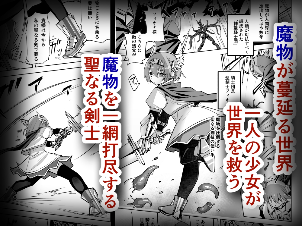 聖剣士フィオナ 画像1