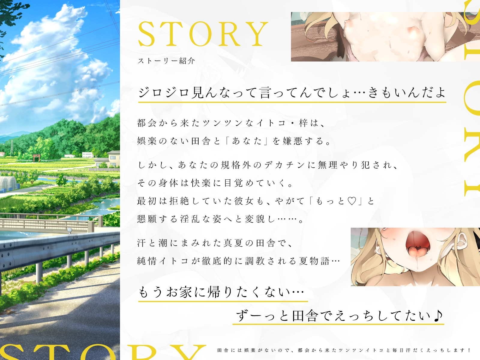 田舎には娯楽がないので、都会から来たツンツンイトコと毎日汗だくえっちします!(KU100マイク収録作品) 画像1