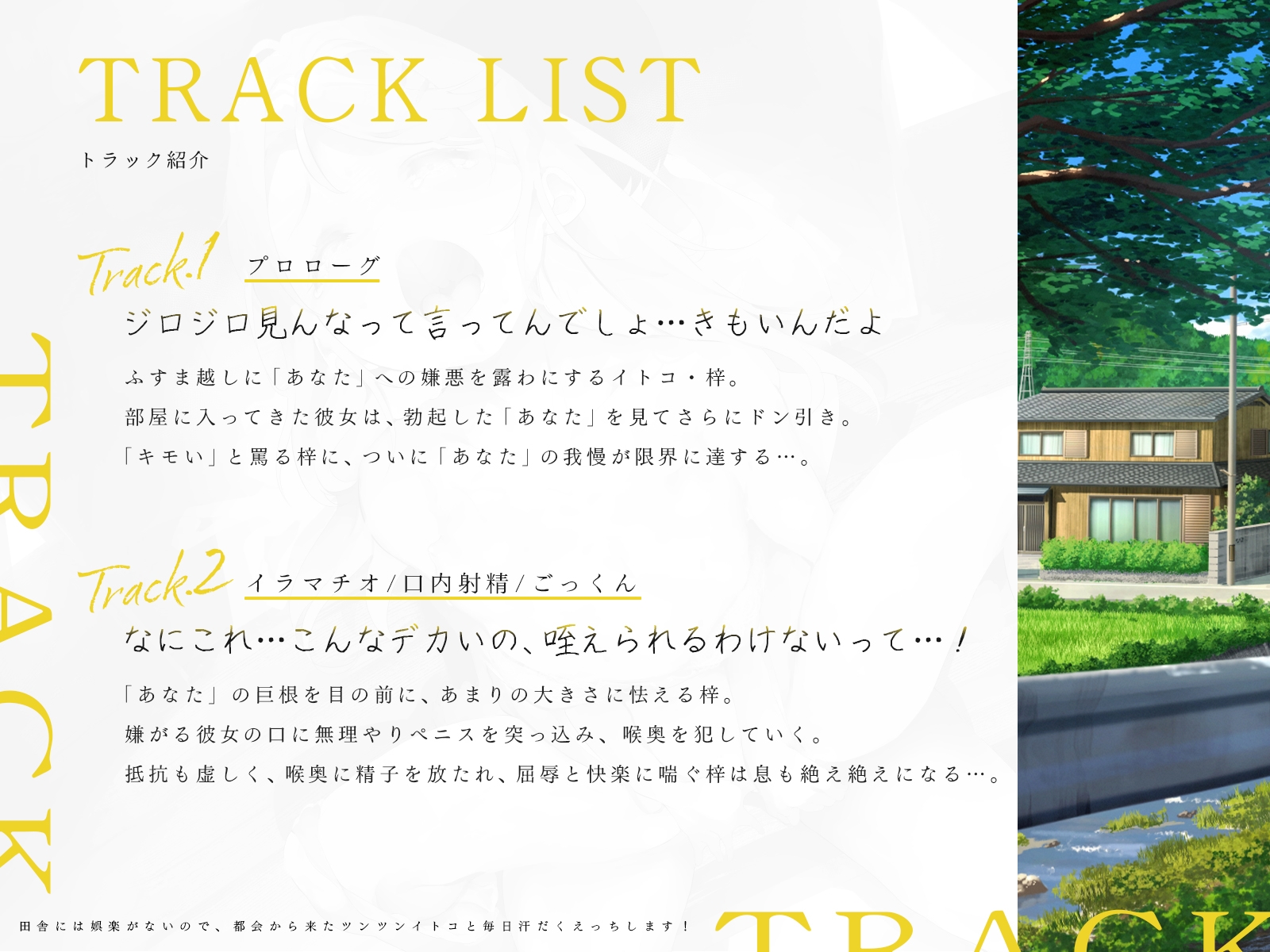 田舎には娯楽がないので、都会から来たツンツンイトコと毎日汗だくえっちします!(KU100マイク収録作品) 画像3