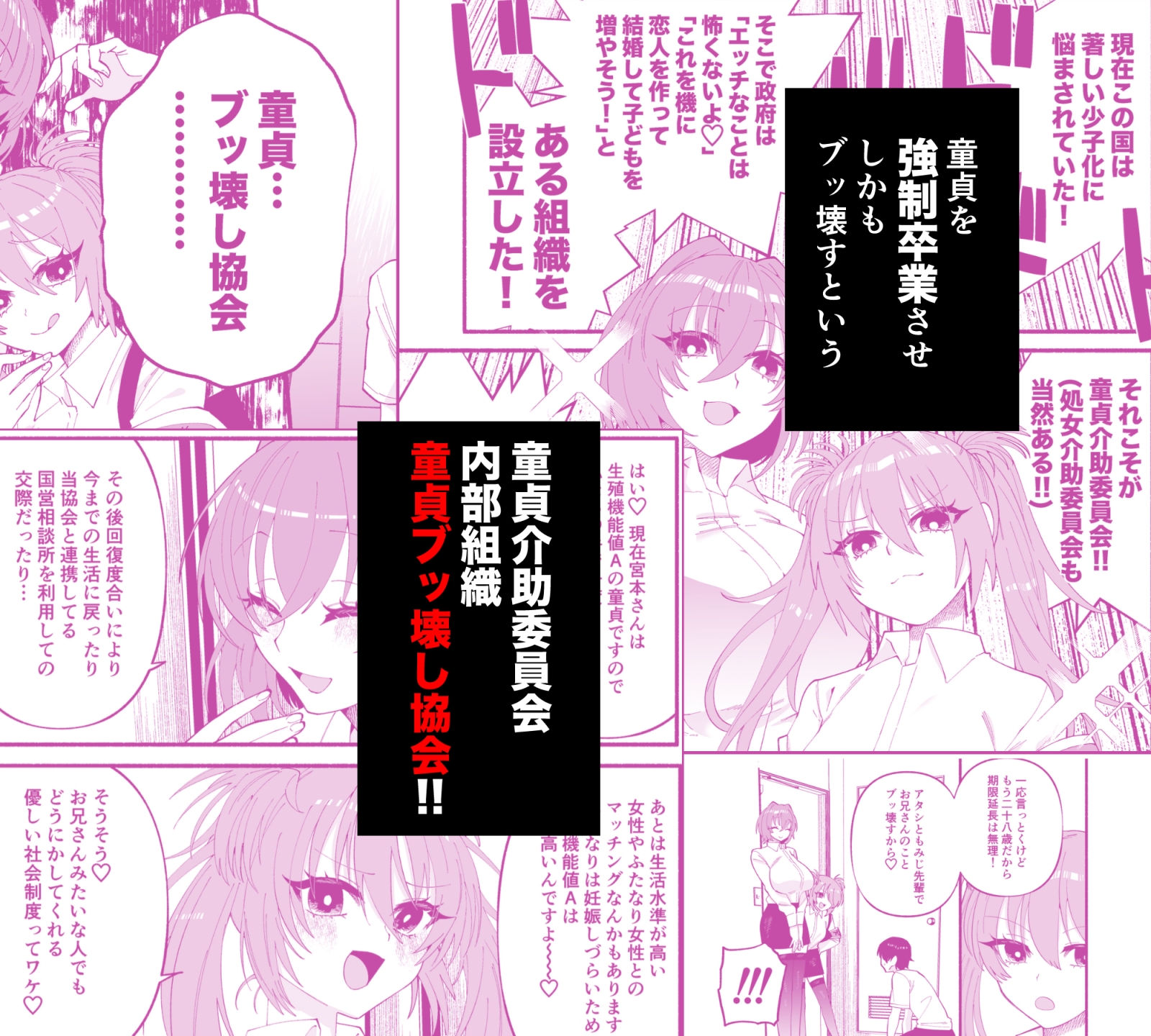 わたくしたち、「童貞介助委員会」内部組織「童貞ブッ壊し協会」の者ですが… 画像3