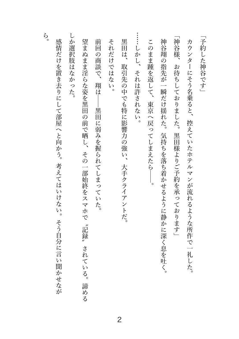 美人リーマン 乱された再堕の夜 〜艶態を淫鎖に囚われて〜