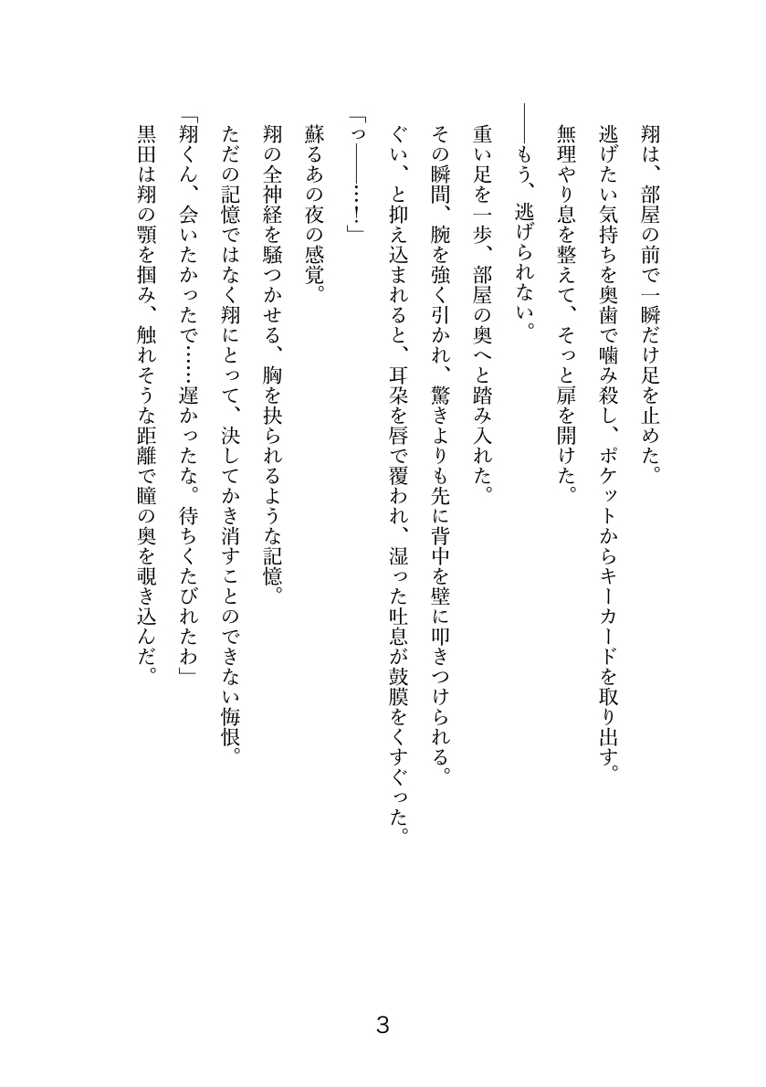 美人リーマン 乱された再堕の夜 〜艶態を淫鎖に囚われて〜