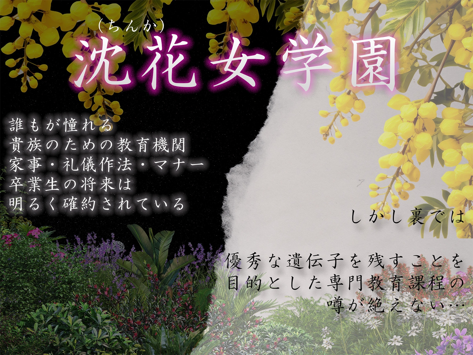 [4K500P]孕ませご奉仕学園～子宮でご奉仕させていただきます～ 教会子宮奉仕実地訓練 日向こはる_1