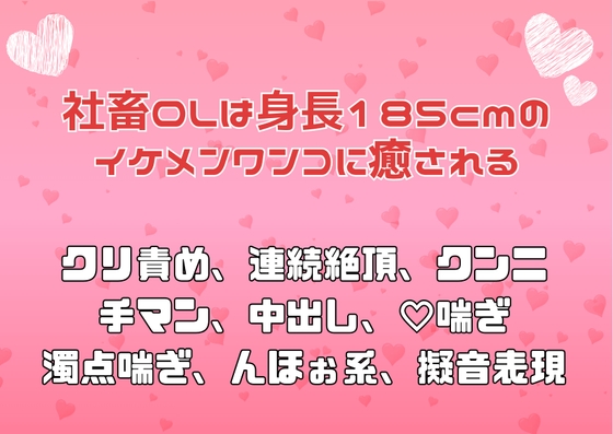社畜OLは身長185cmのイケメンワンコに癒される 社畜OLは身長185cmのイケメンワンコに癒される