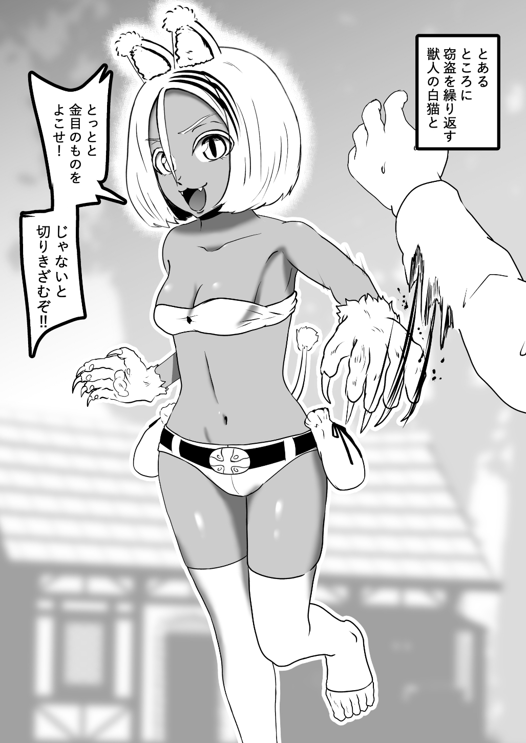 ヴァンパレイド8・5 ～白猫 黒狼 調教編～ 画像2