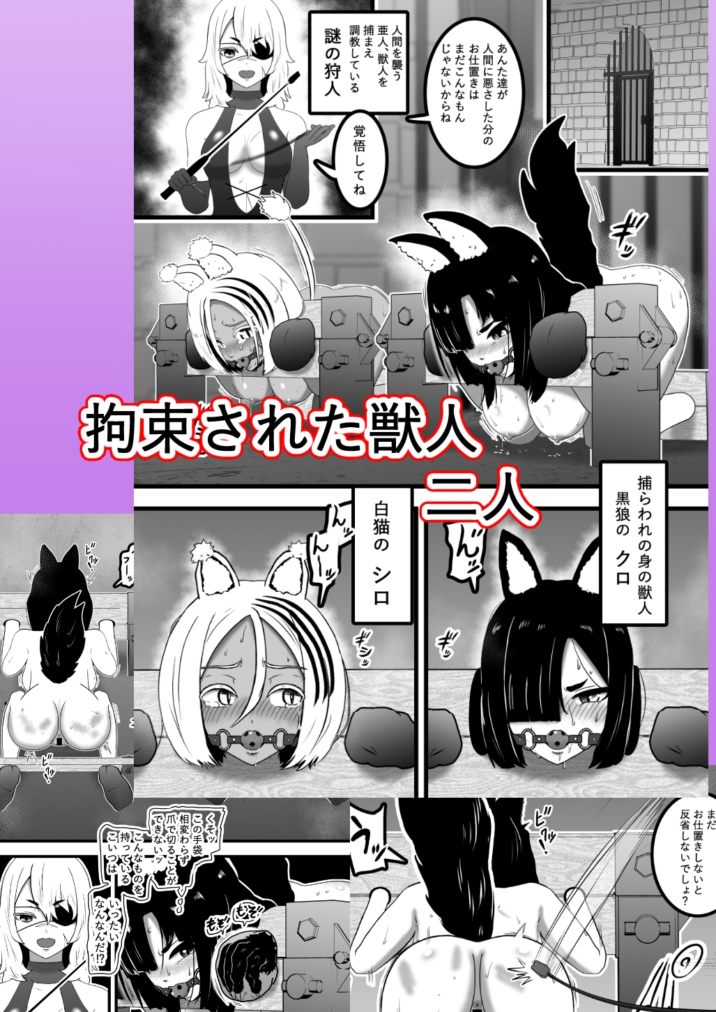ヴァンパレイド8・5 ～白猫 黒狼 調教編～ 画像5