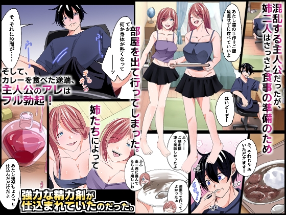 ブラコンのお姉ちゃんたちと。双子の姉たちが大事に取っておいた処女を貰って欲しいと誘惑してくる最高の夏休み！ サンプル 2/3