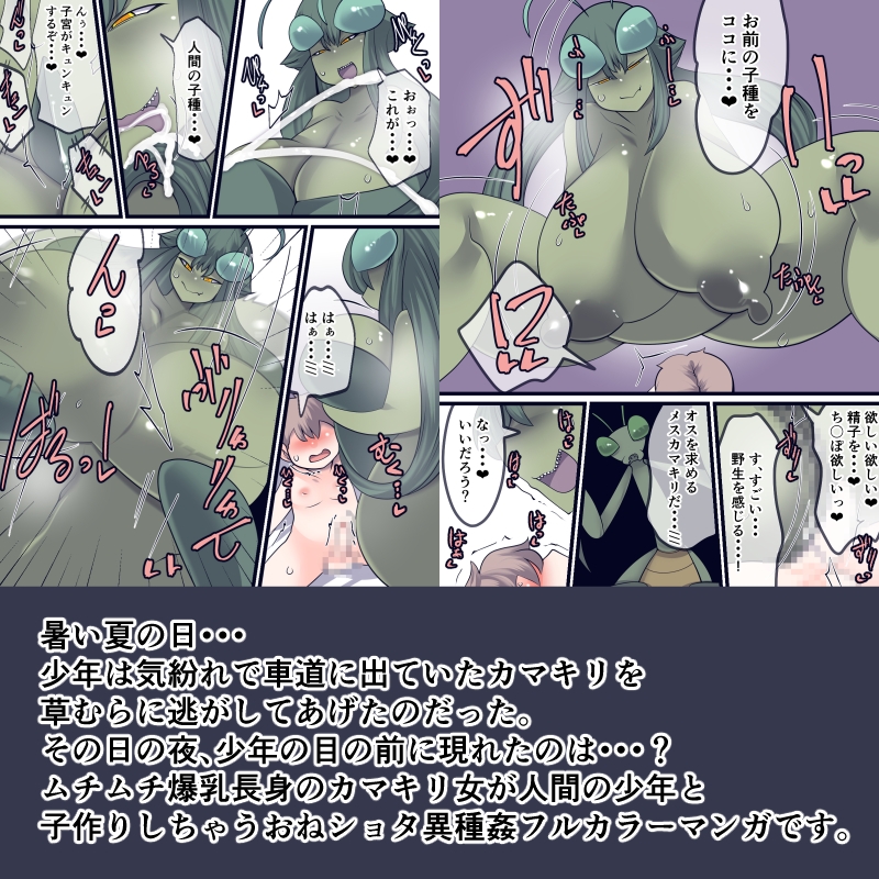 あの時助けていただいたカマキリですが子種頂きます 画像2