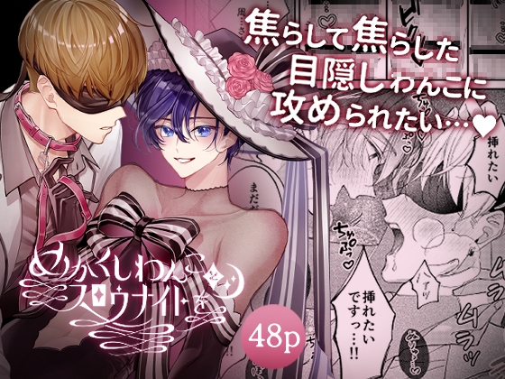 めかくしわんことスロウナイトを