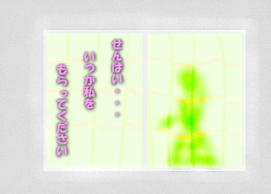 せんぱい・・・