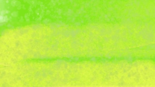 十月三十一 [不眠日]