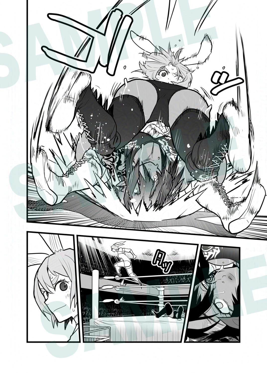 12Animals Rumble2024 画像3