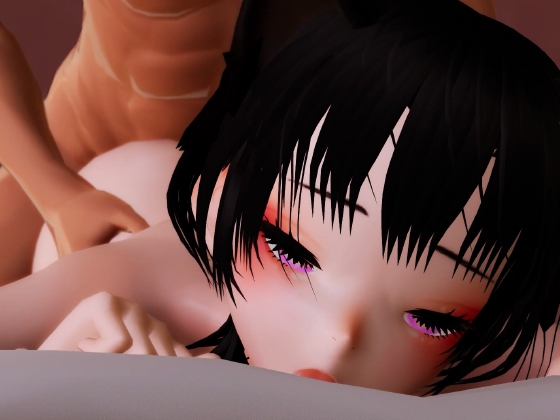 ZEN 動画セット1 画像2