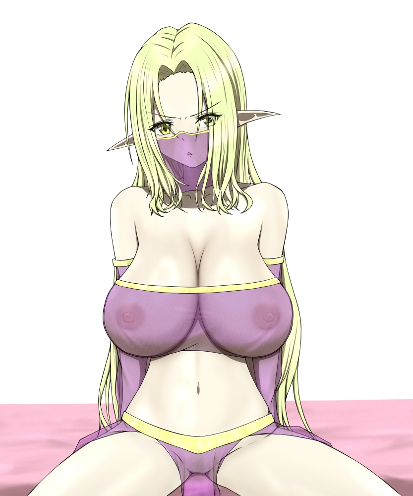 エルフ本1 画像1