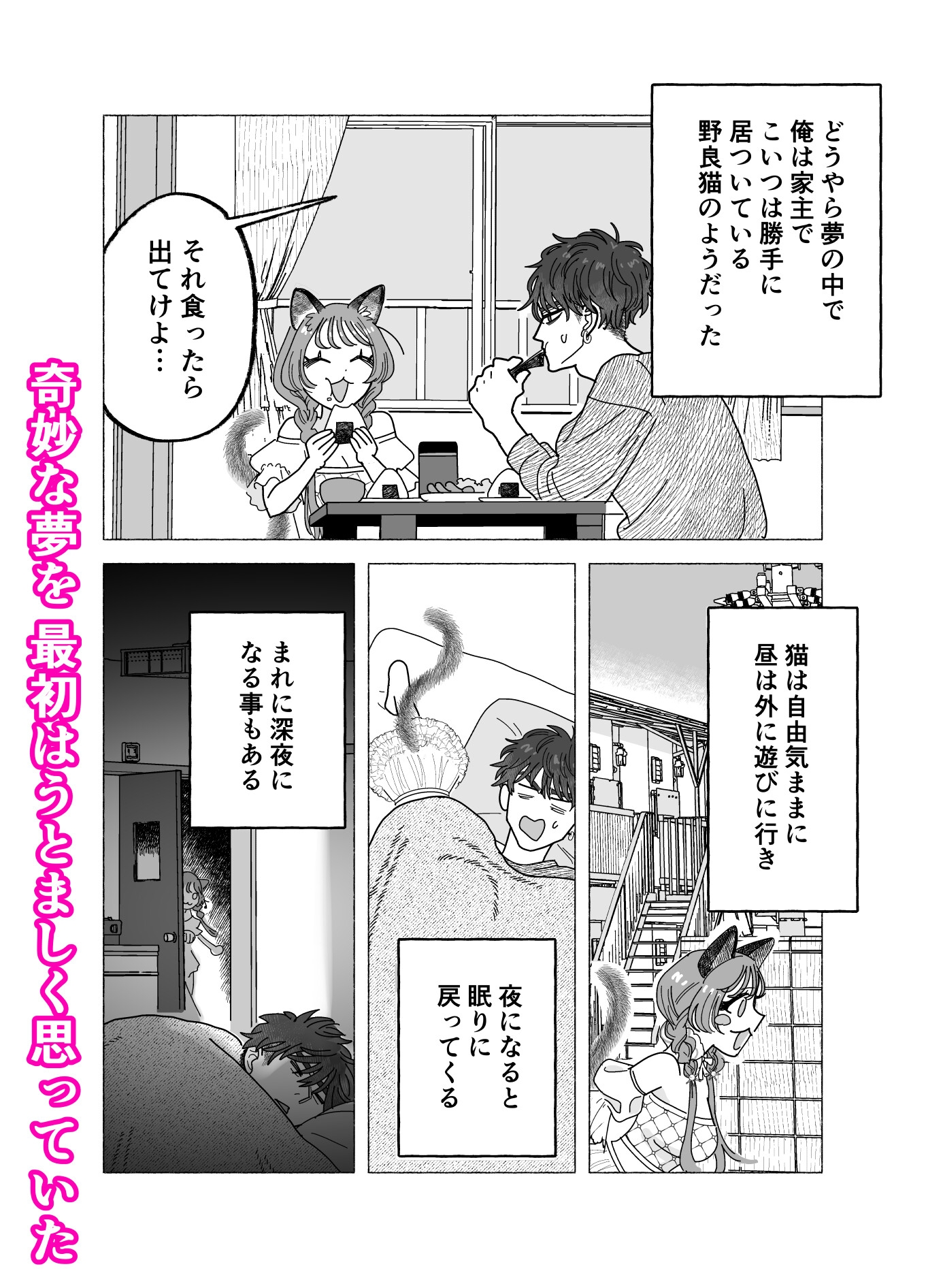 この、馬鹿猫！ 画像3