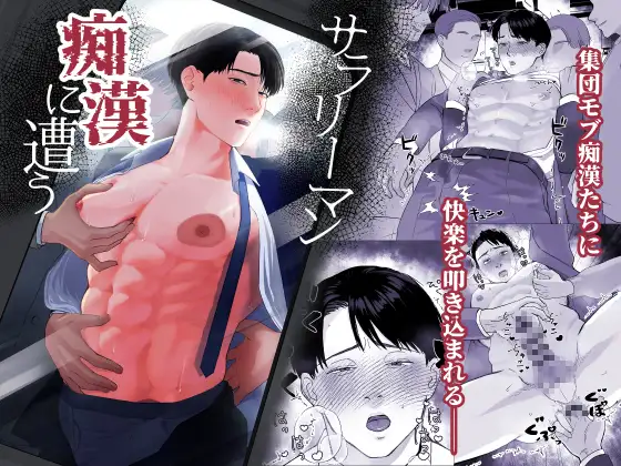 サラリーマン痴○に遭うの表紙画像