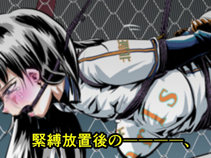 縛闘姫伝SPHINXact11~20アートブック 画像5