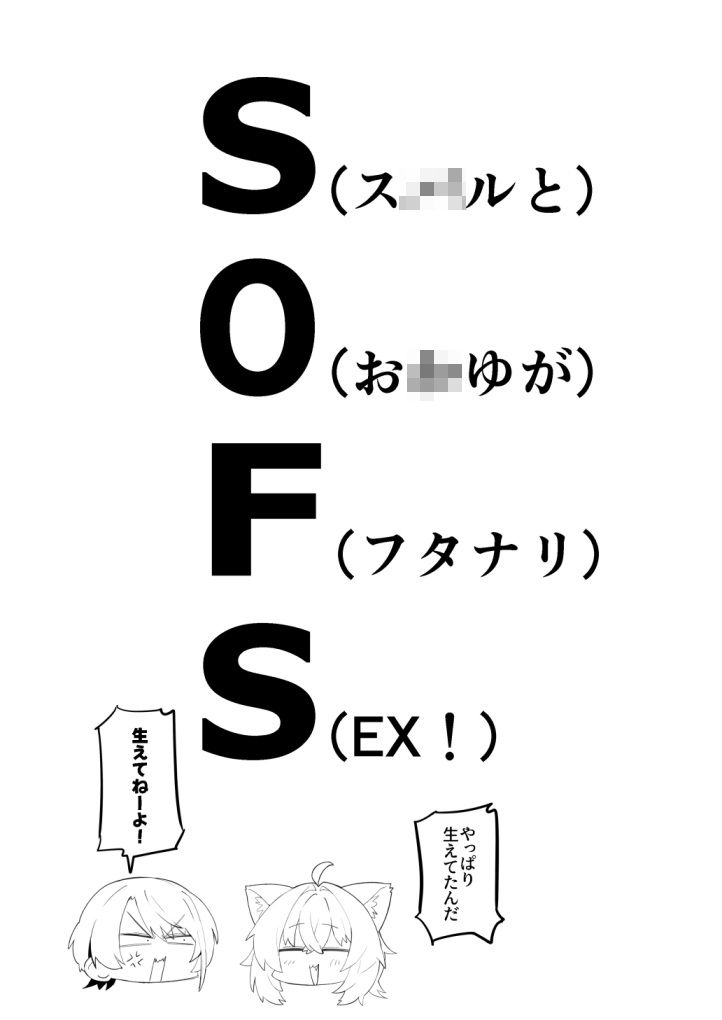 SOFS 画像4