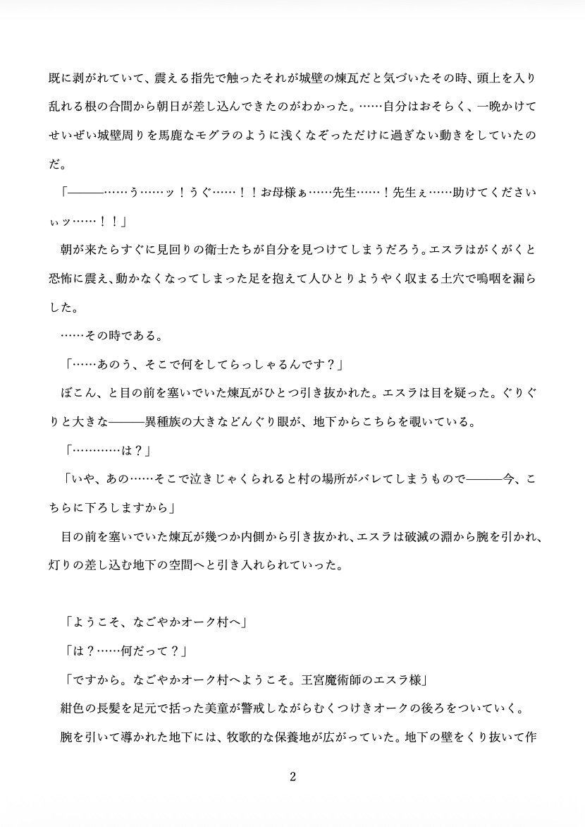 ようこそなごやかオーク村 〜王城を追われた陰険魔法使いはオークの仲間たちと地底暮らしを満喫します♡〜