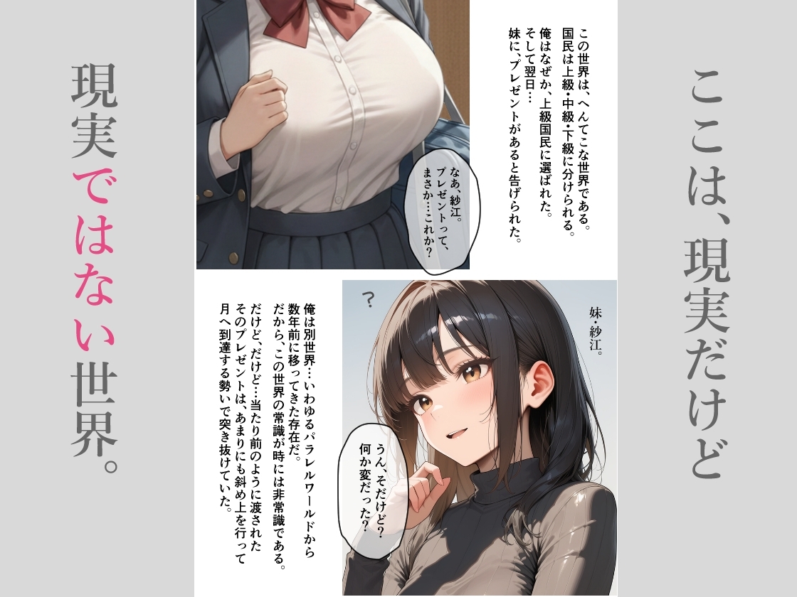 サンプル画像
