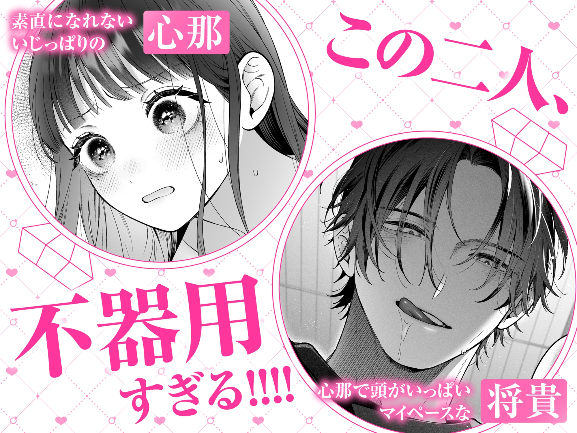 続・会いに行った裏アカ男子が大嫌いな婚約者で詰んだ。 画像1
