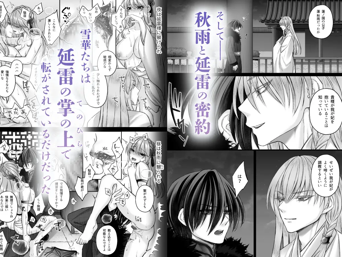 愛さなければ、幸せだったのに 〜ある悪役公主の婚姻、それに伴うヤンデレ公子と放蕩王の執愛について〜 聖華快楽書店 エロ漫画6