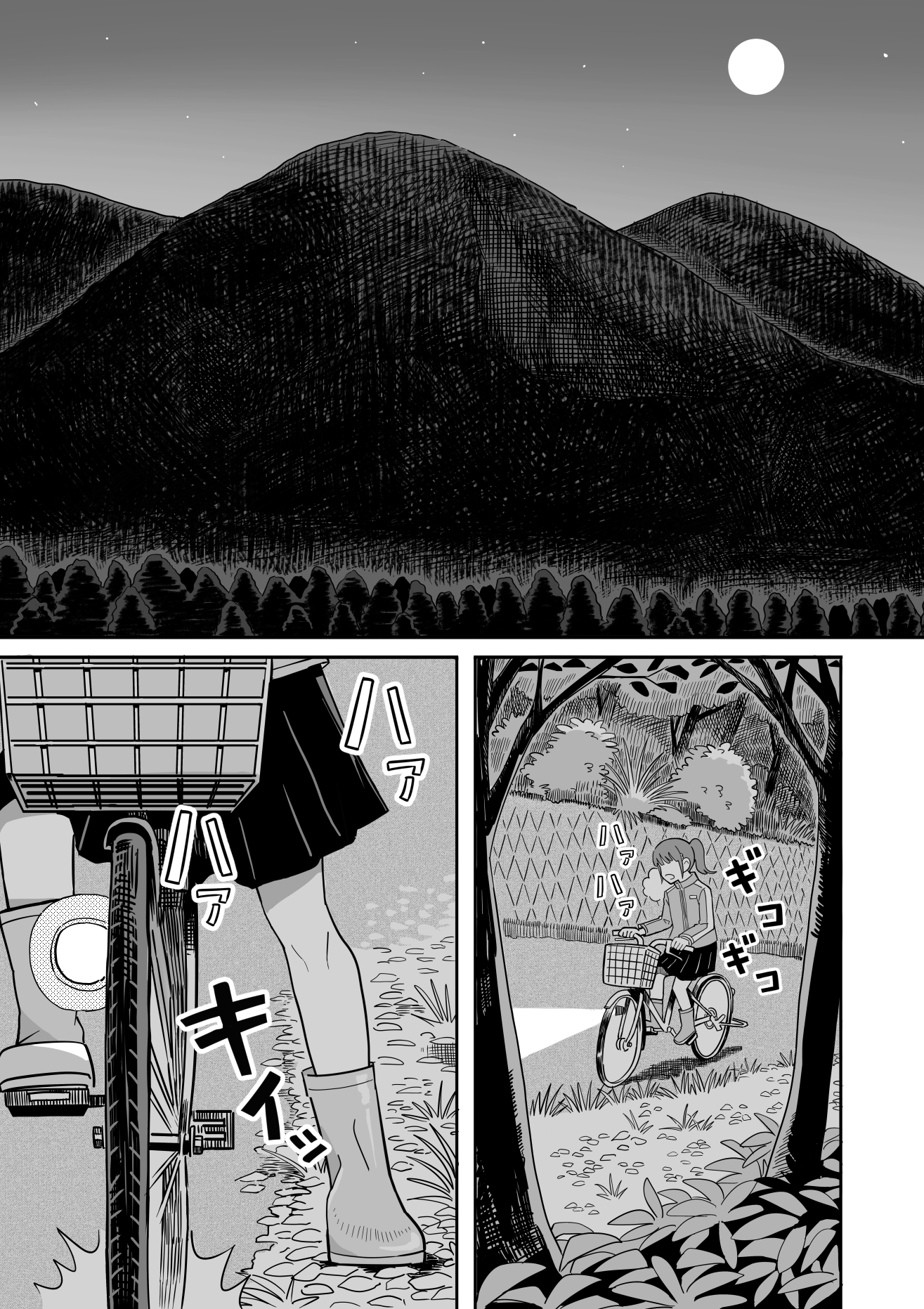 ヒキガエル 画像1