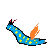 ソロジュマチクライ