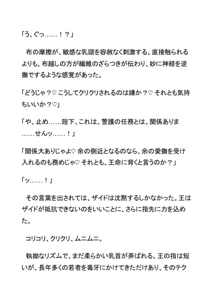雄剣闘士、国王のどすけべ乳首開発~薄布一枚で悶絶イキ我慢親衛隊~