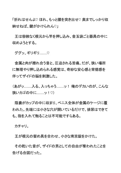 雄剣闘士、国王のどすけべ乳首開発~薄布一枚で悶絶イキ我慢親衛隊~