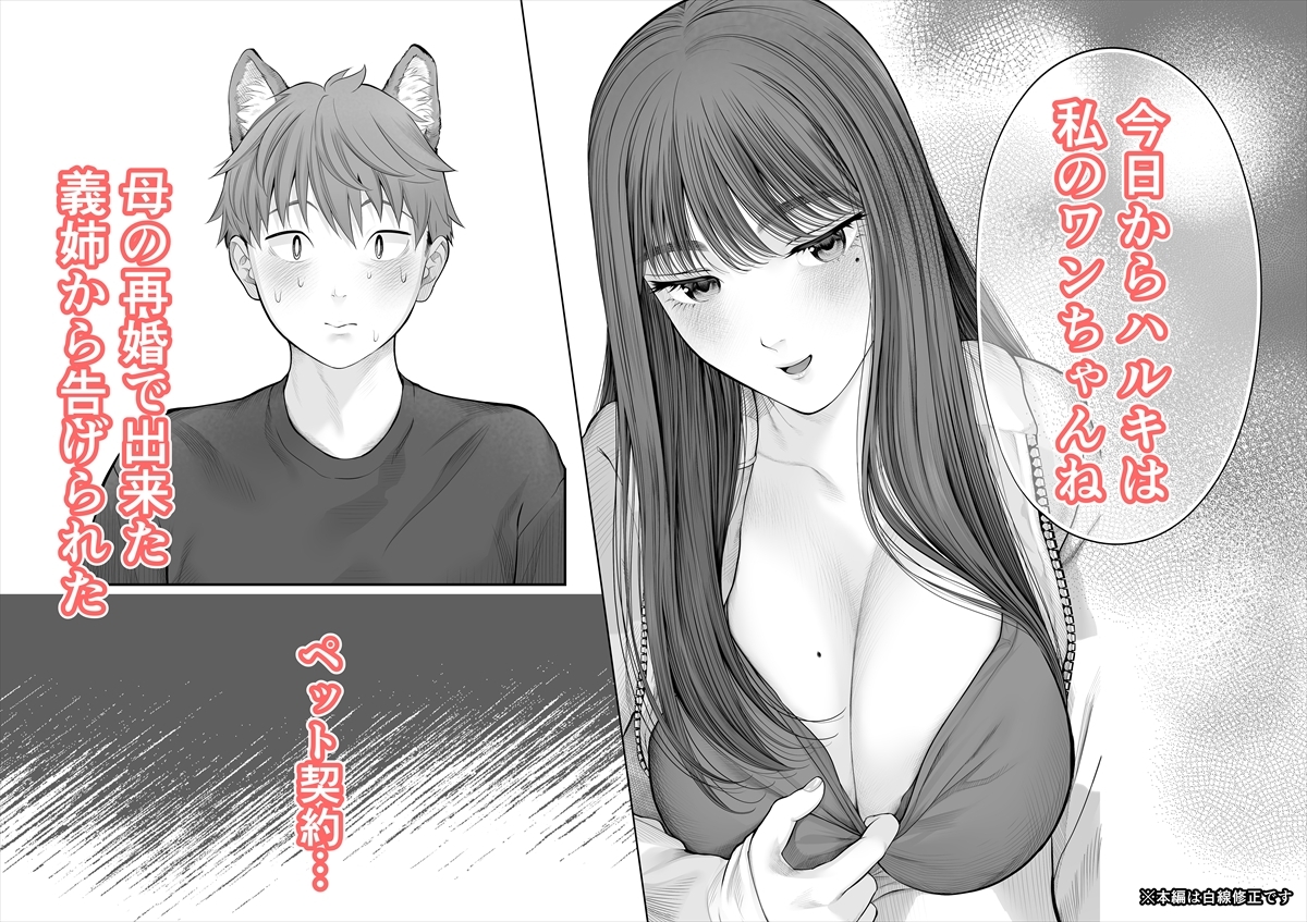 姉犬-義姉は家族でえっちなご主人様- 画像1