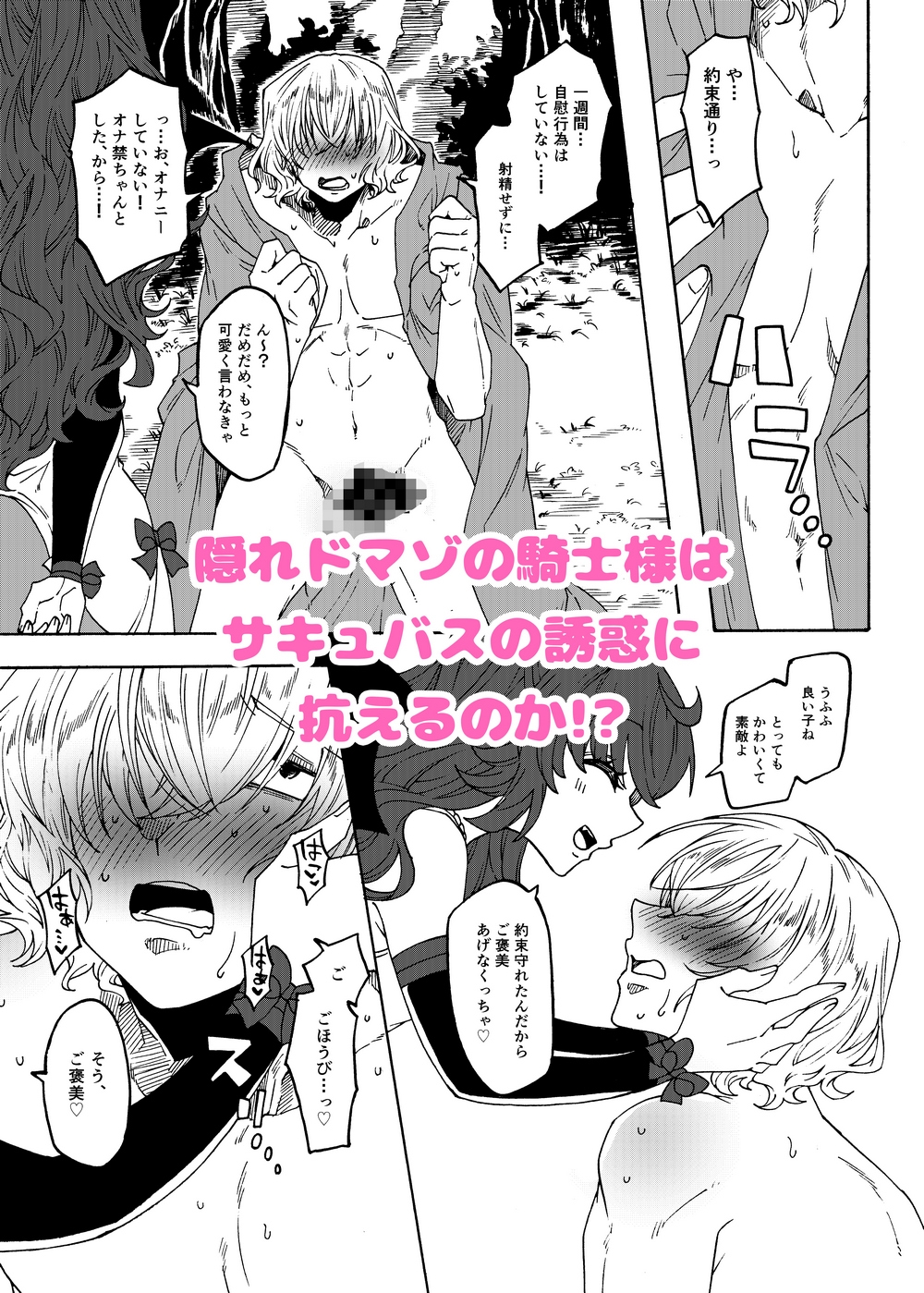 マゾ聖騎士さまとやさしいふたなりサキュバス 画像2