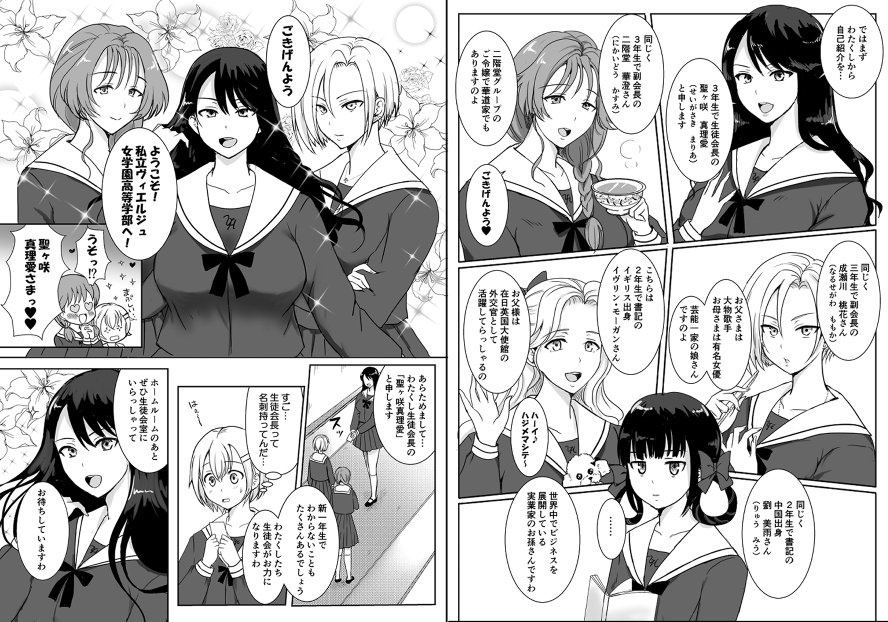 志望校に全落ちしたボクがお嬢様学校に入学した話 画像2