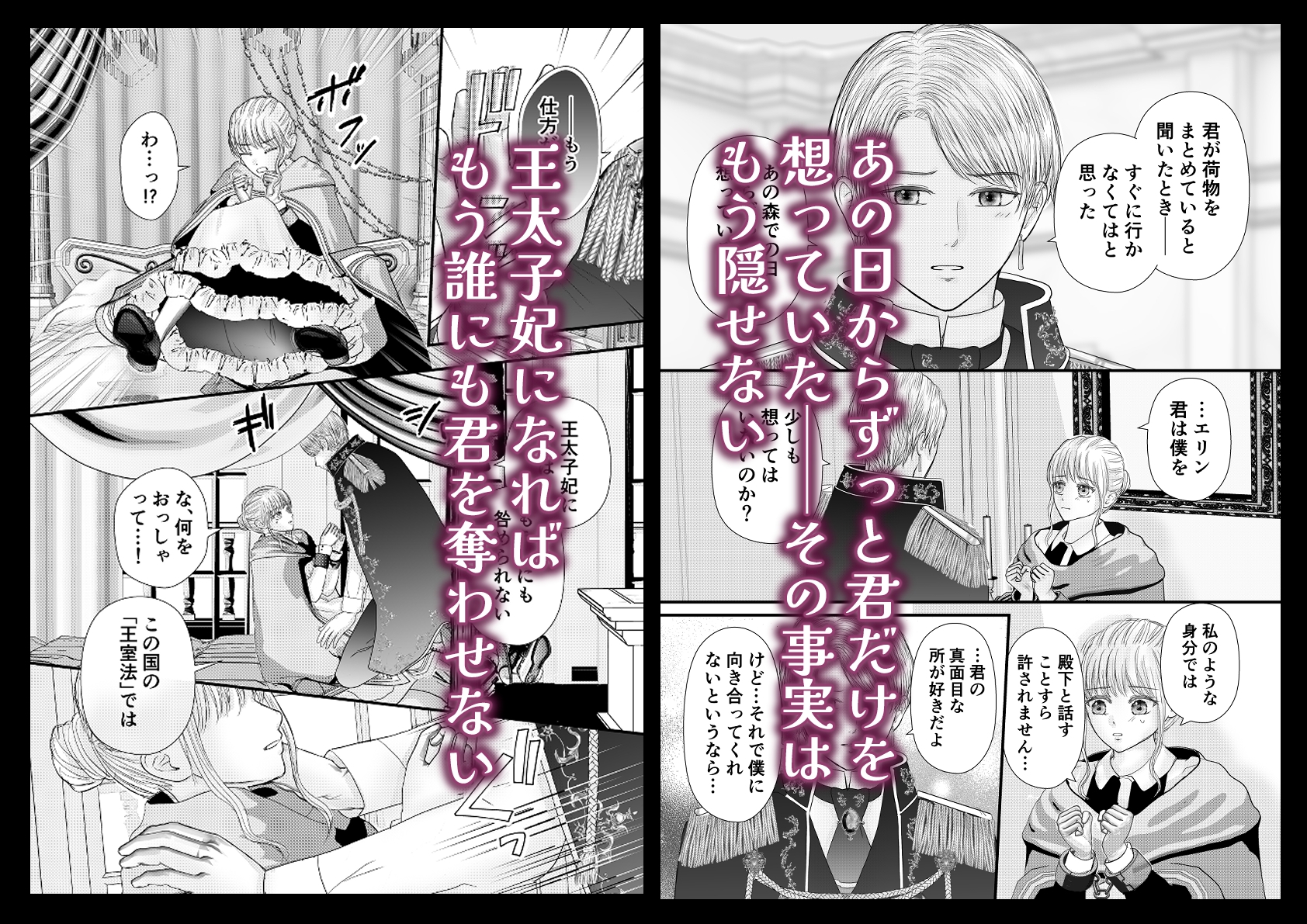 王太子の執着に溺れてメイドは恋を知る 画像3