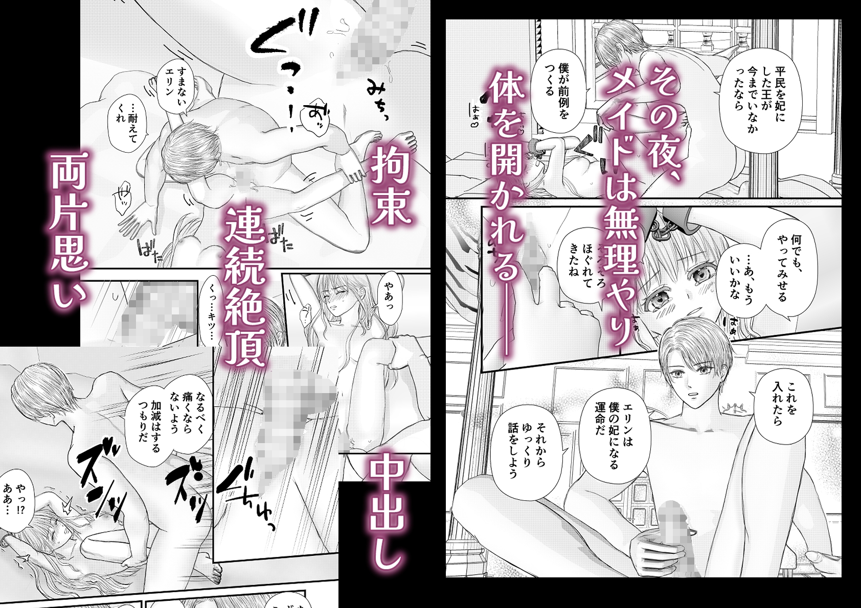 王太子の執着に溺れてメイドは恋を知る 画像5