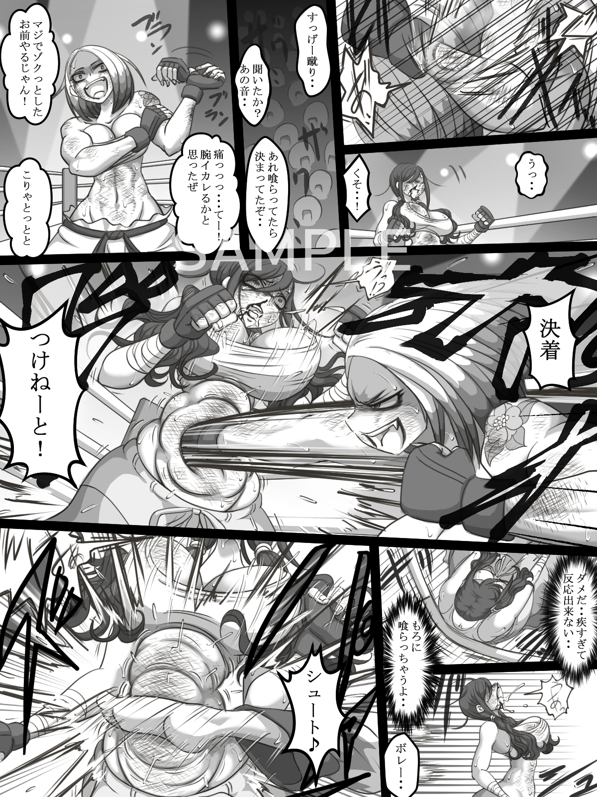 THE BATTLE OF SPITFIRE-sasanqua- volume1 画像3