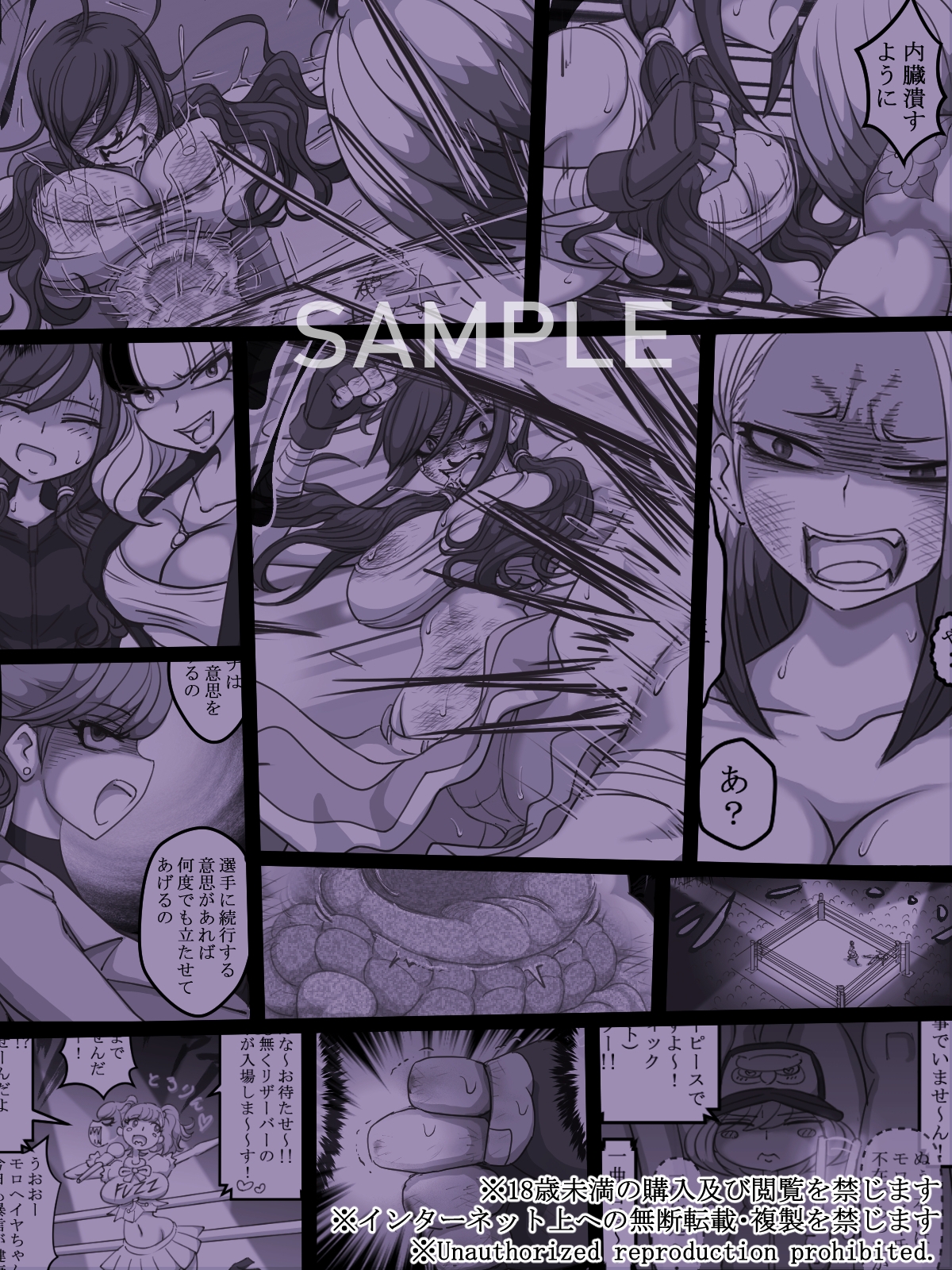 THE BATTLE OF SPITFIRE-sasanqua- volume1 画像6