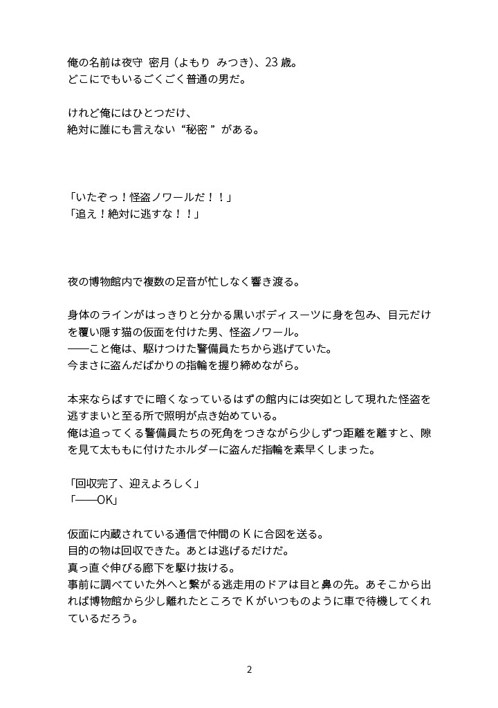 淫乱怪盗♡ノワール