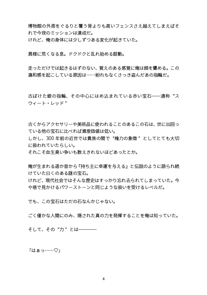 淫乱怪盗♡ノワール