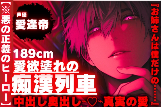 |꩓|28日間50%OFF|꩓|⚠︎背後から痴漢【※悪の正義のヒーロー】189cm愛欲塗れの痴漢列車『お姉さんは僕だけの……』【中出し奥出し⌁♡⌁真実の愛】-0画像