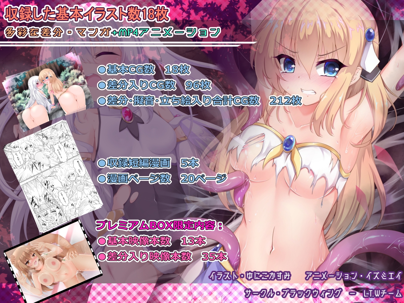 IF魔幻少女ドリームメイデンER 2nd + 1stプレミアムBOXブラックウィングRJ01514097