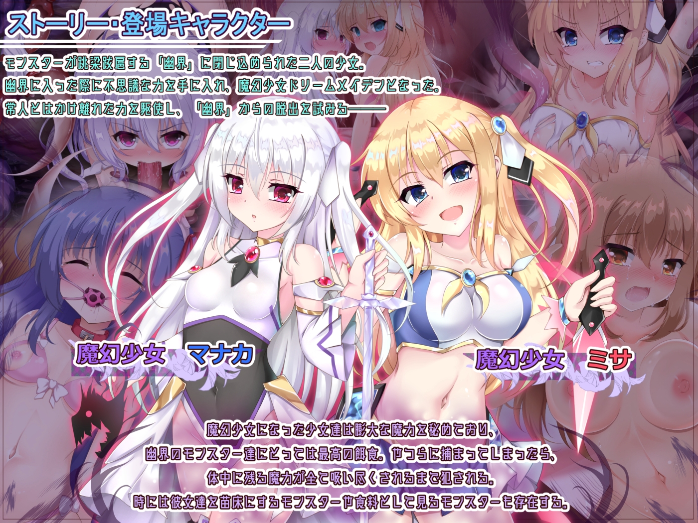 IF魔幻少女ドリームメイデンER 2nd + 1stプレミアムBOXブラックウィングRJ01514097