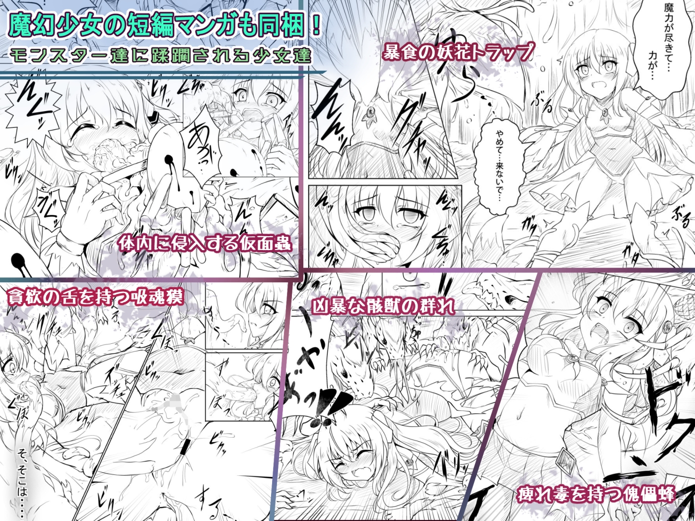 IF魔幻少女ドリームメイデンER 2nd + 1stプレミアムBOXブラックウィングRJ01514097