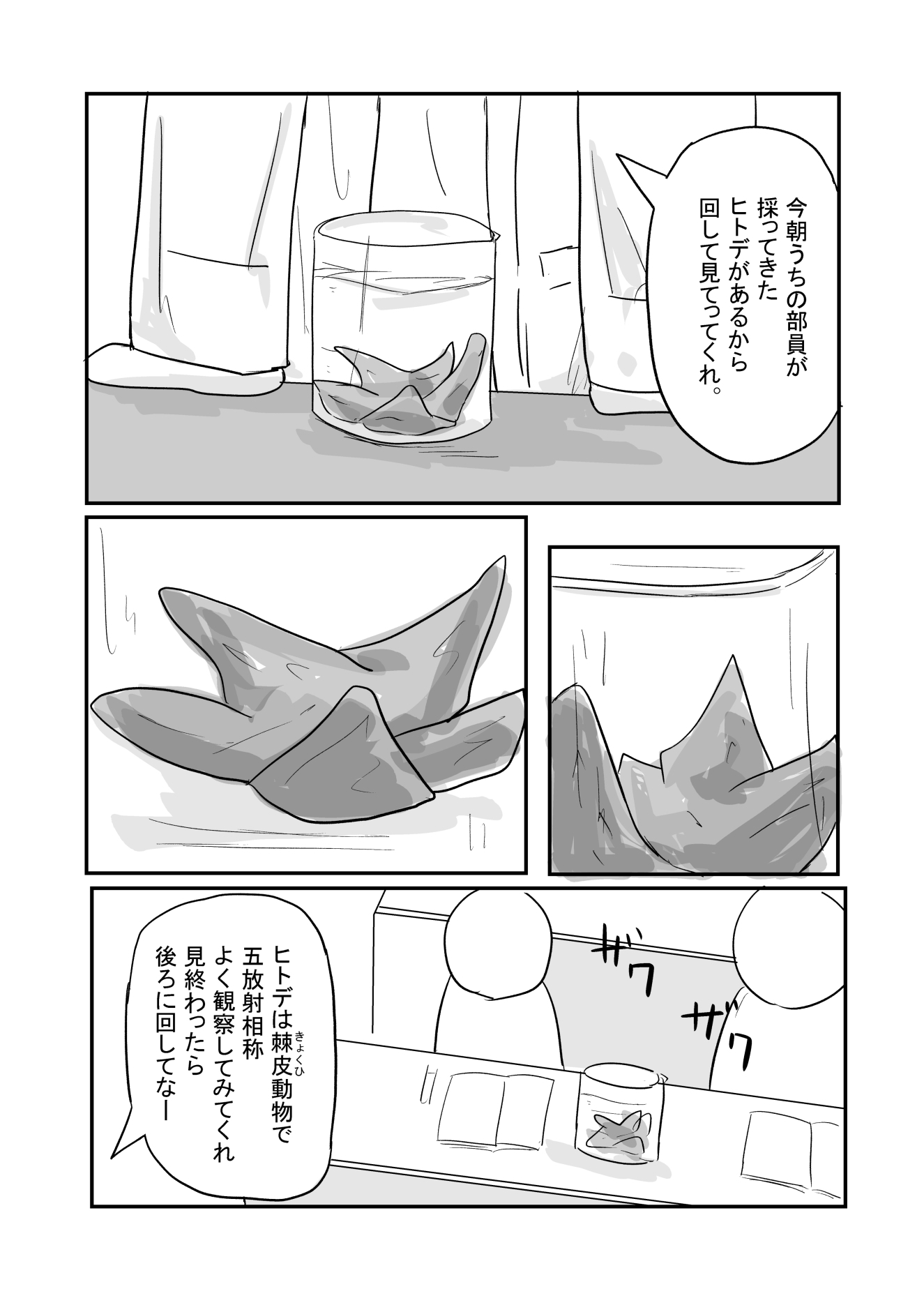 標本観察 画像2