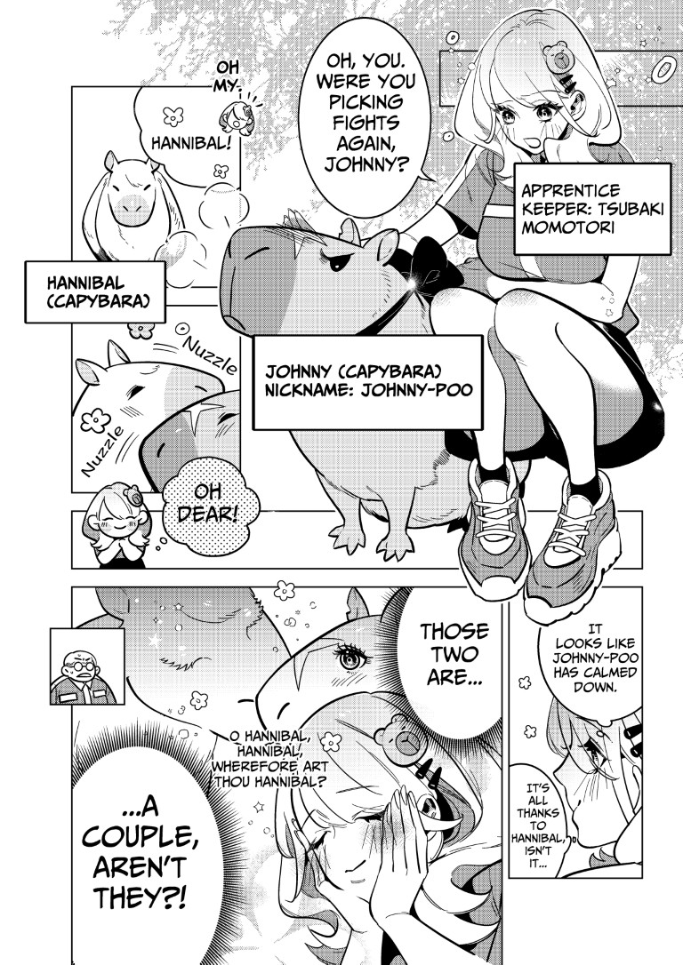 Horny Capybaras: Zoo Sex Observation Diary