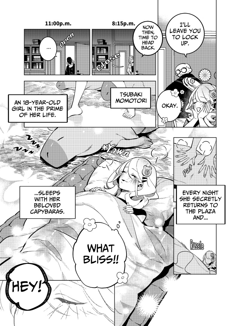 Horny Capybaras: Zoo Sex Observation Diary