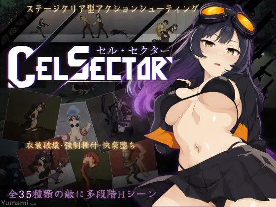 [ACT/动态/官中] CelSector [百度/484M]