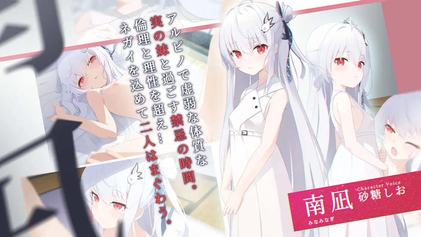 [ADV/动态/精翻汉化] カタネガイ [百度/1.22G]