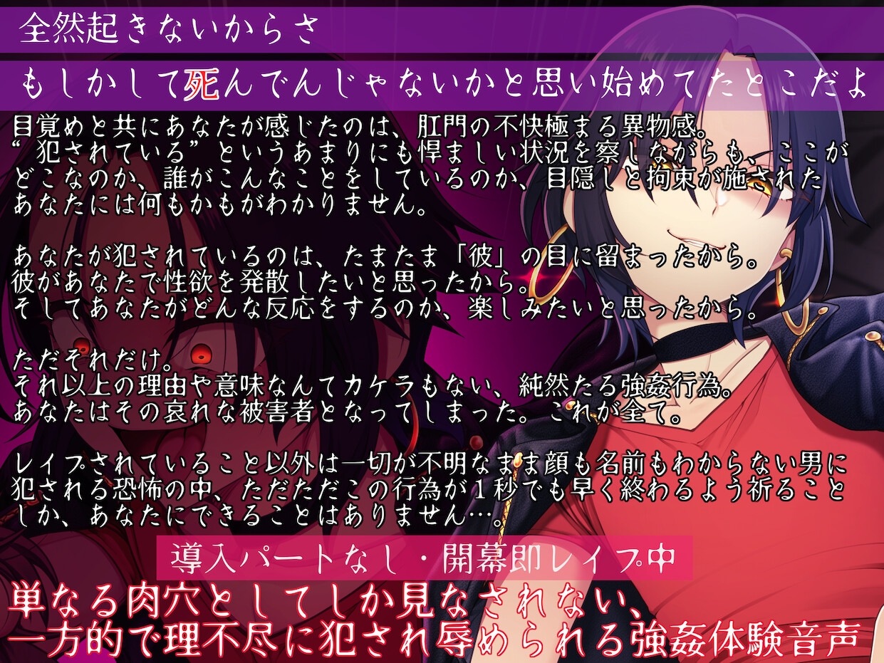 悪虐愉悦男の娘強○魔に目を付けられて傍若無人徹底暴虐レ○プ支配 〜逆らったらもっと嬲るから、良い子にしてろよ?〜 画像1