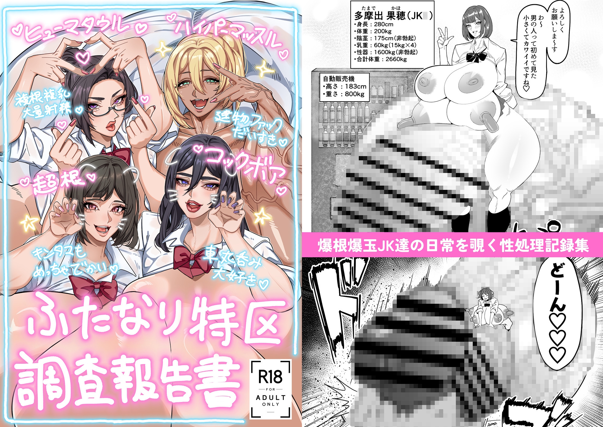 ふたなり特区調査報告書 画像1